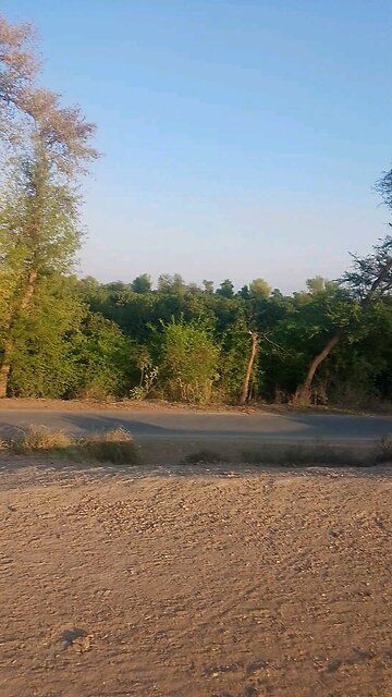 Village life in Pakistan