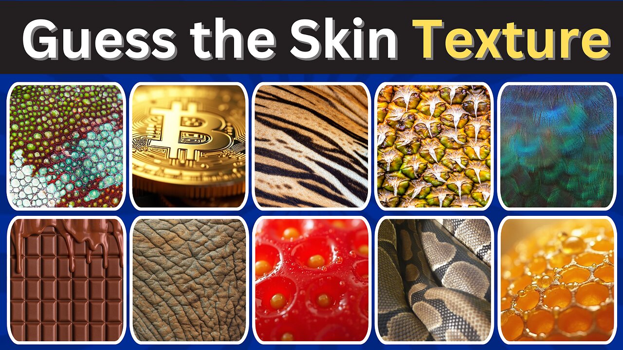 How Well Do You Know Animal Textures 🦎🐑 Quiz Time!