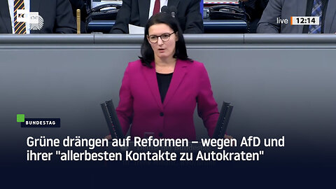 Grünen-Abgeordnete fordert "solide Rechtsgrundlage" für Bundestagspolizei – wegen AfD