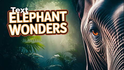 World Most Dangers Elephant Of The World