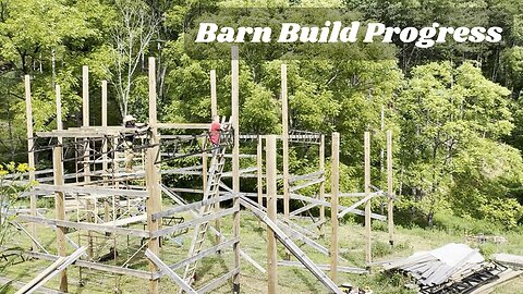 Step Inside Our Barn Build Progress!