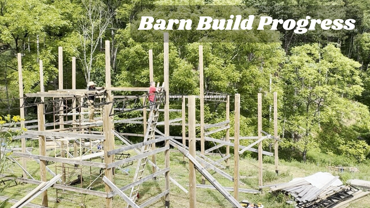 Step Inside Our Barn Build Progress!