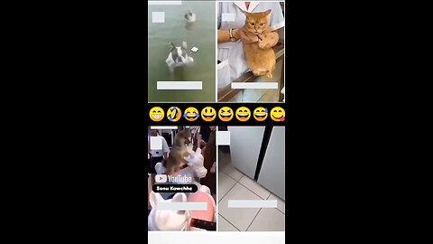 funny video part 1