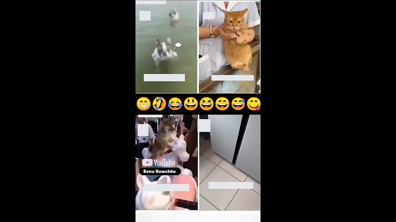 funny video part 1