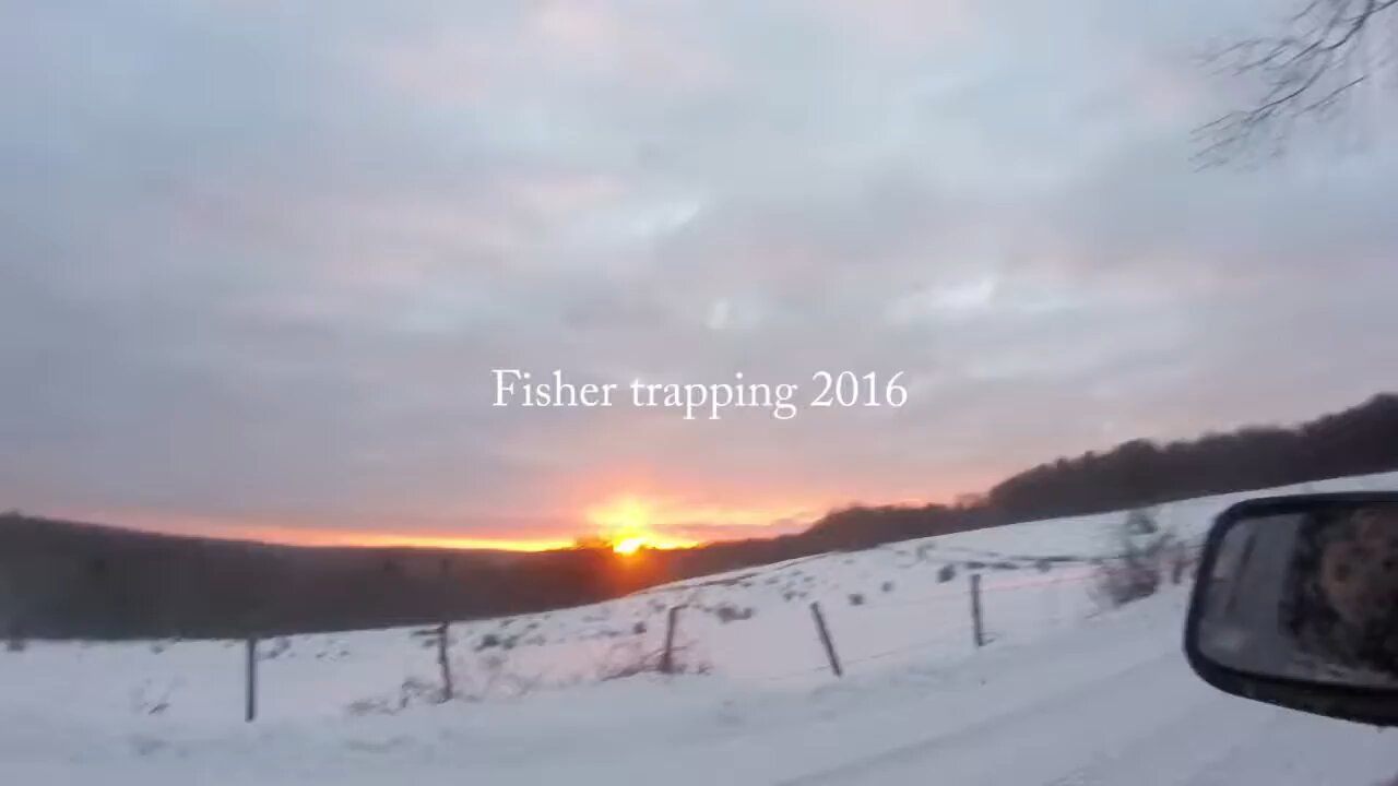 fisher trapping PA 2016