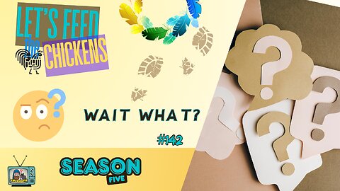 Wait What? | Let's Feed the Chickens | E142