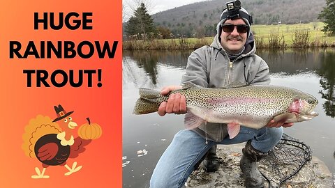 Fishing BIG RAINBOWS on Thanksgiving!
