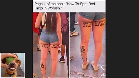 Memes That Will 99.0263% Make You Laugh. (e487)