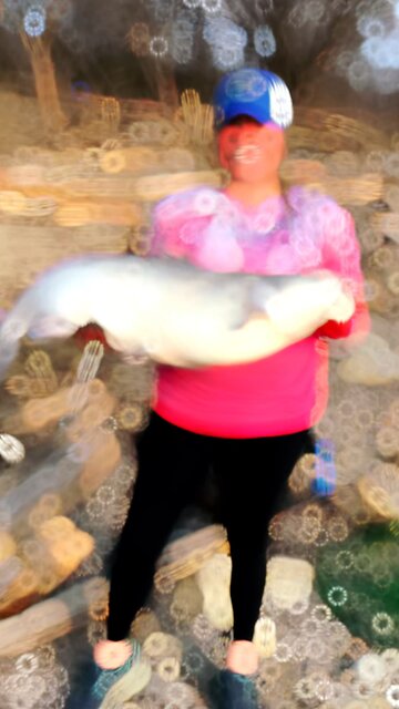 The Catfish Are Thawing Out!