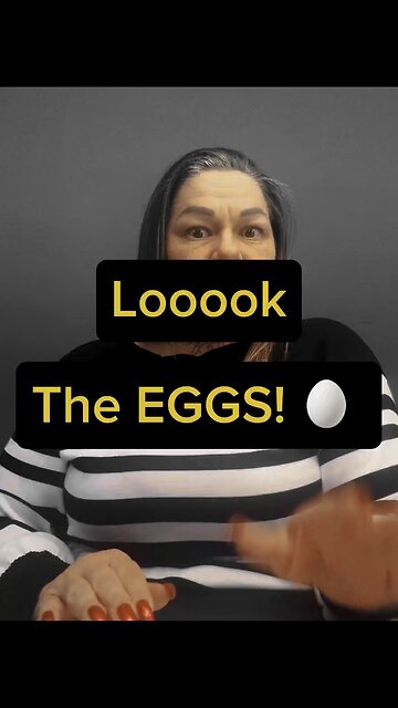 Look, The Eggs 🥚