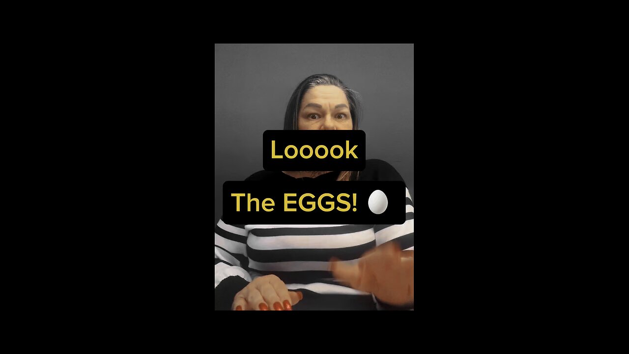 Look, The Eggs 🥚
