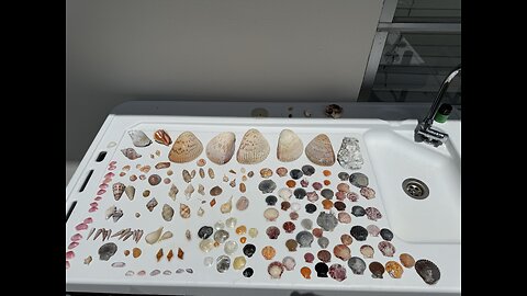 Beach Finds 8/15/2025 | 4K