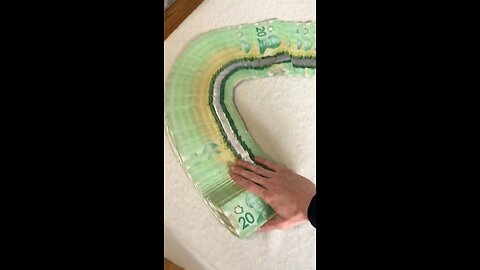 Money snake