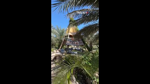 torba farm Qatar