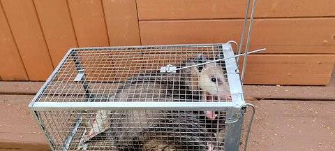 What was under the deck.