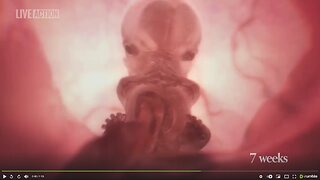 The Unborn Are Now People in Puerto Rico!