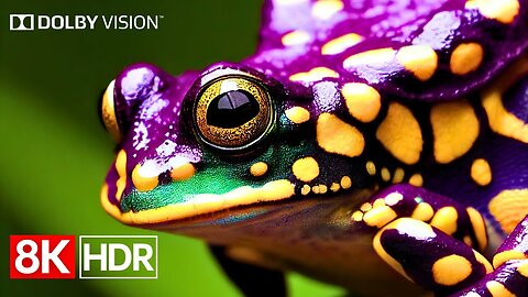 Nature’s Perfection in 8K HDR Dolby Vision (8K 60fps Video)