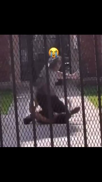 Slapped so hard and fast, sounds like fireworks! Street Fight, bully got the worse of it