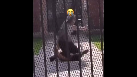 Slapped so hard and fast, sounds like fireworks! Street Fight, bully got the worse of it