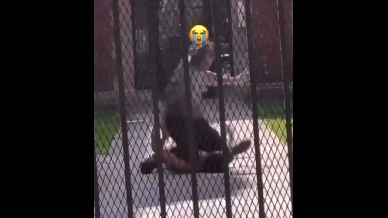 Slapped so hard and fast, sounds like fireworks! Street Fight, bully got the worse of it