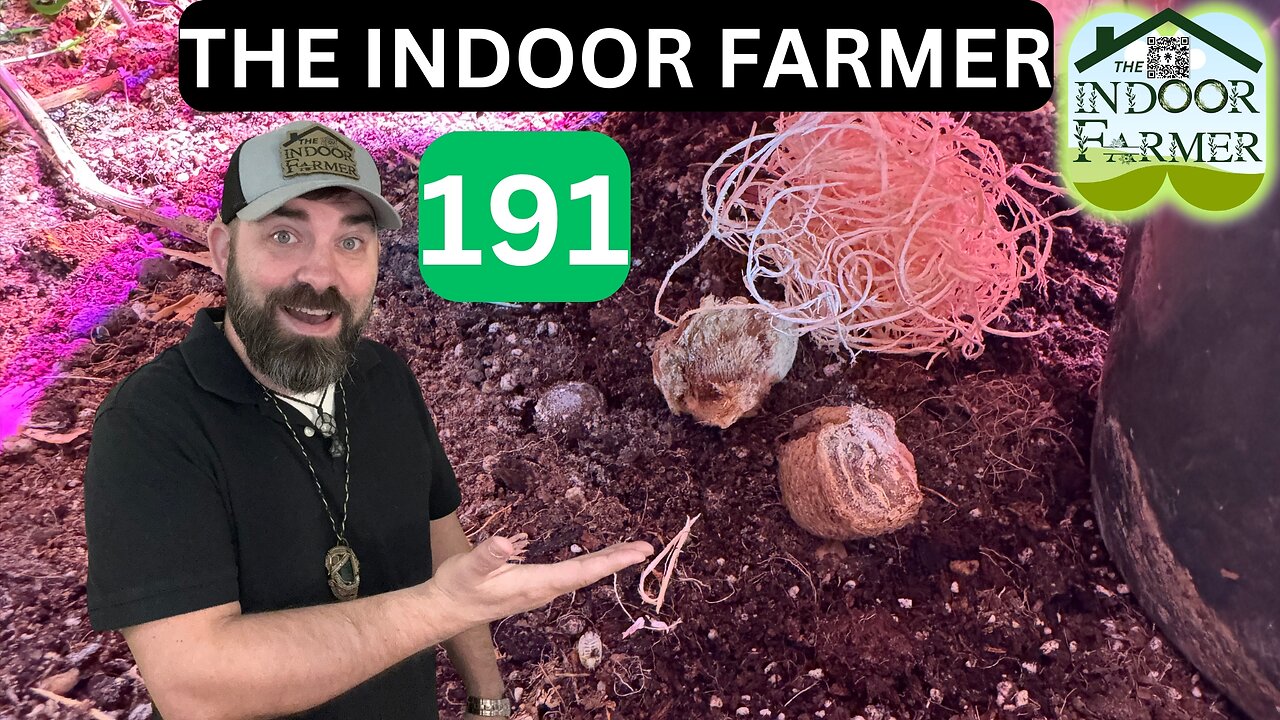 The Indoor Farmer ep 191, Preying Mantis Are Ninjas & Your Garden Is Like A Battlefield. Let's Grow!