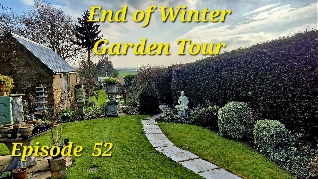 February Garden Tour: Early Signs of Spring in the UK 🌱