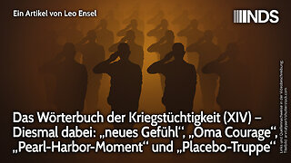Das Wörterbuch der Kriegstüchtigkeit (XIV) – Von „neues Gefühl“, „Oma Courage“ bis „Placebo-Truppe“