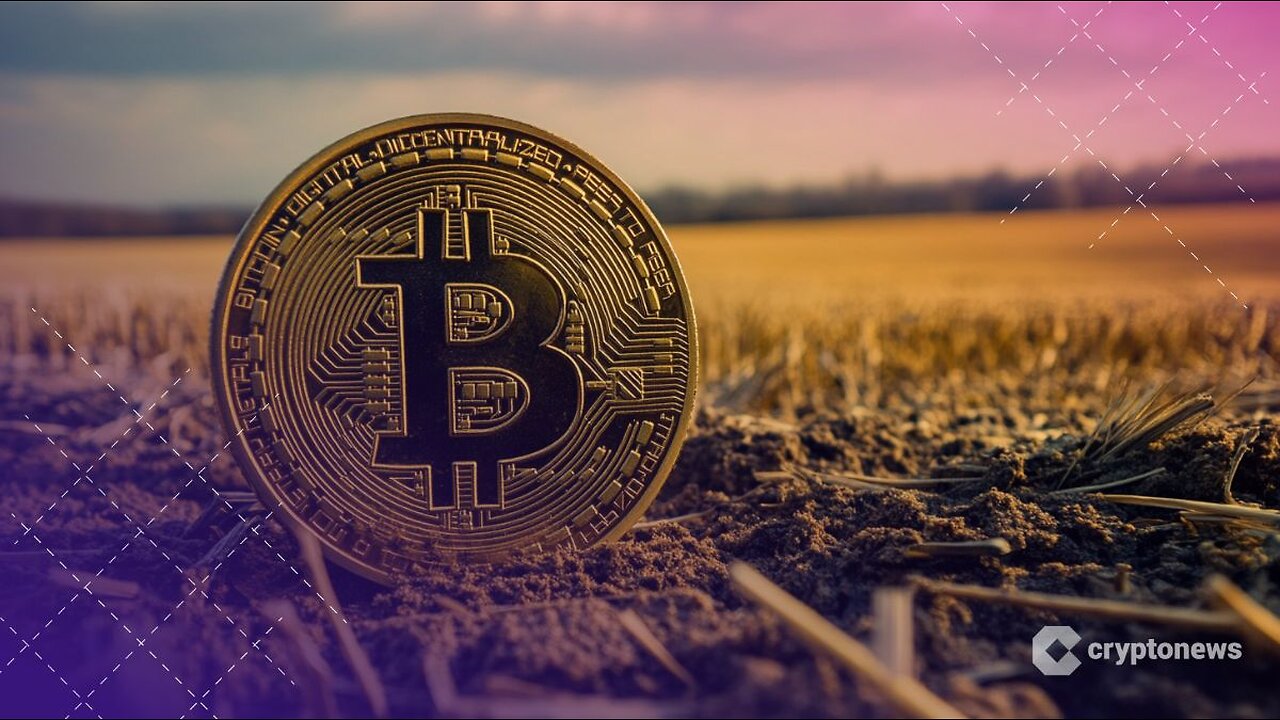 Morgan Stanley Creates Digital-Asset Strategy Post, Names Long-Serving Exec To Lead