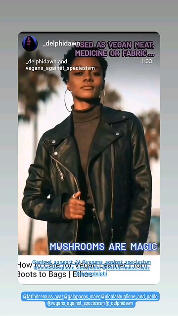 Used as vegan meat, medicine or as fabric MUSHROOMS are magic! 🙌 🍄🌱🌏✌️😁🍄