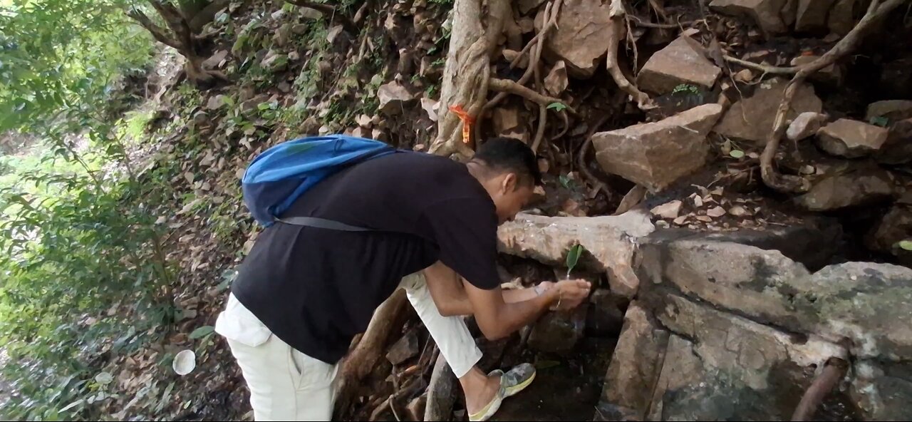 Travel with nature