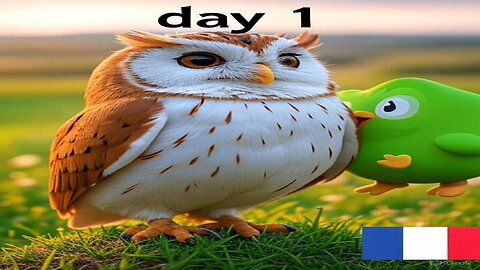 Duolingo Learning French Day 1
