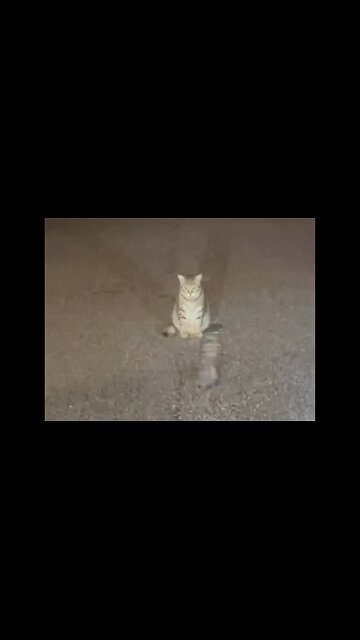 He waiting to play the winner.