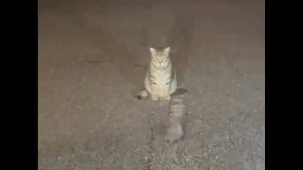 He waiting to play the winner.