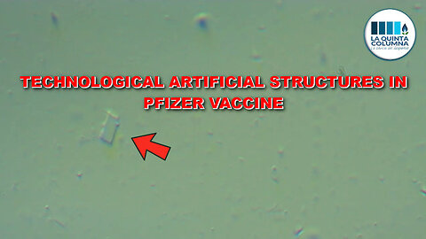 Technological artificial structures in Pfizer vaccine