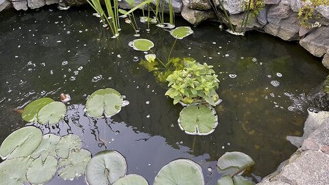 Отдых у воды