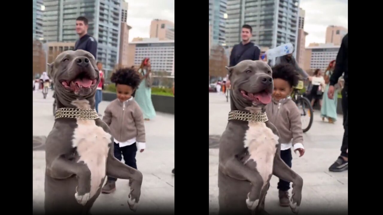 Kid has Close Call with Scary DOG