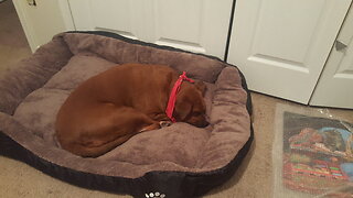 Call of Duty: A Retrospect: Modern Warfare 2! Come Hang!