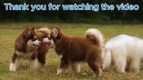 Why Isn’t It Patented? Insert an Oil Filter into the Angle Grinder and You’ll Be Amazed!