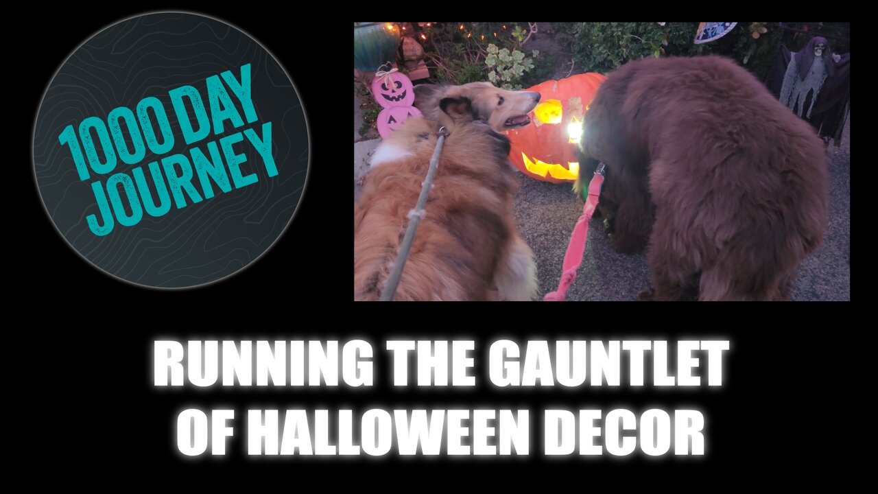 1000 Day Journey 0836 Running the Gauntlet of Halloween Decor