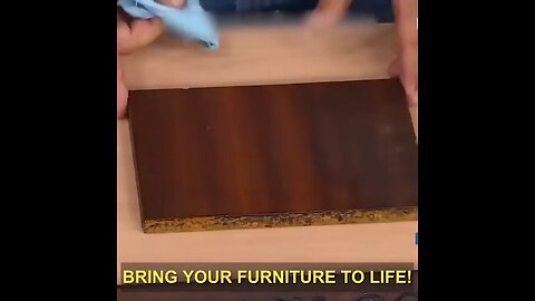 FURNITURE POLICE