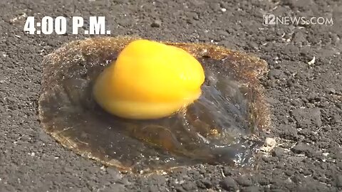Extreme Heat: Egg Cooked on the Road