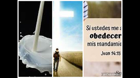 LECHE DE LA PALABRA DE DIOS-De fe en fe-3-4, CAMINO DE SANTIDAD/PENTECOSTÉS-OBEDIENCIA,Stephen Jones