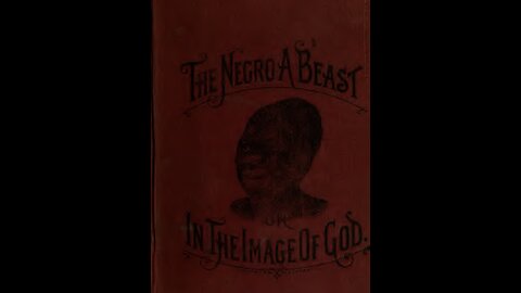 The Negr0 a Beast or in the Imagine of God. Chapter 11 to the end.