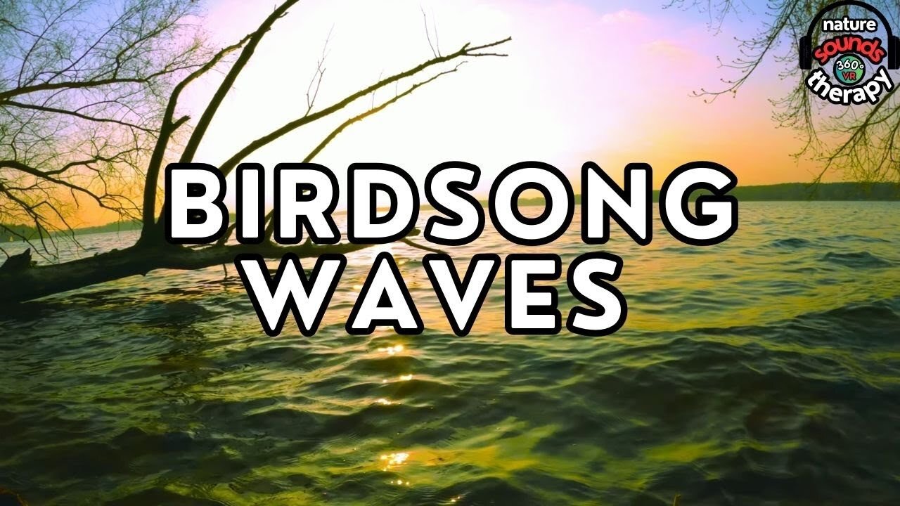Waves & Birdsong for Calm - Tranquility by the Shore