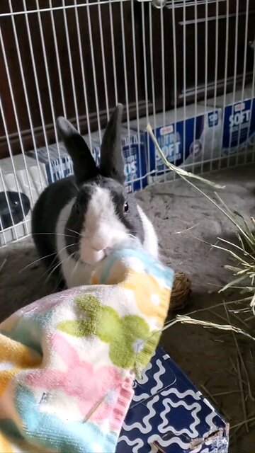 Mr. Minnow being a cutie!