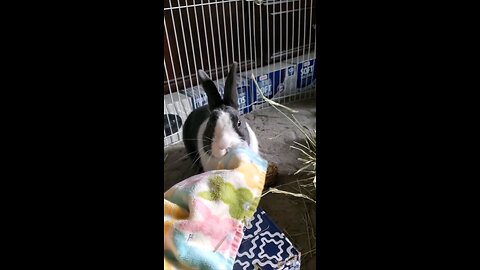 Mr. Minnow being a cutie!
