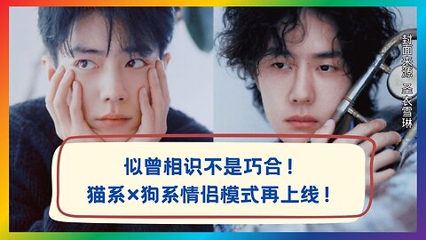 Not a Coincidence — They’ve Been on the Same Frequency All Along 😭🐱🐶