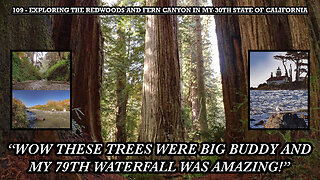 EXPLORING THE REDWOODS AND FERN CANYON IN MY 30TH STATE OF CALIFORNIA