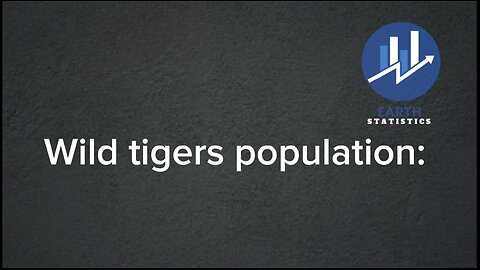 Wild tigers population