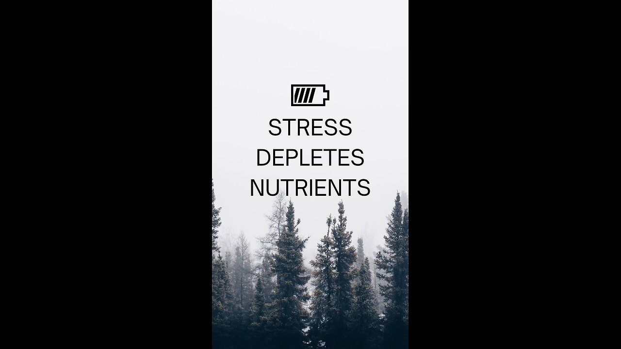 how stress leads to nutritional deficiencies